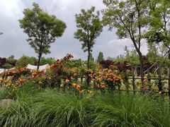 -诗经里