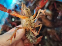 -祥鹤龙虾螃蟹