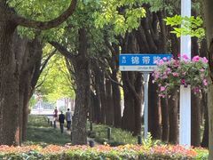 -上海东方艺术中心