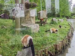 -上海野生动物园
