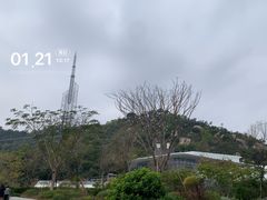 -景山公园