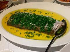 葱油蒸白水鱼-玫瑰厅上海菜(兴国路店)