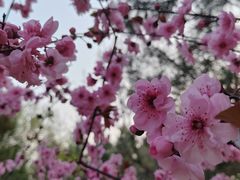 -长辛店二七公园