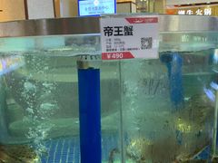 水产区-欢乐海岸美食联盟