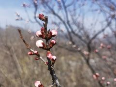 -蟠龙山长城景区