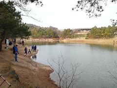 -南京市无想山景区