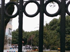 -上海青草地幼儿园