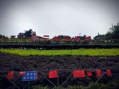 -三峡古玩城(泰古广场店)