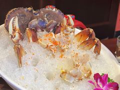 -东海怡品海鲜豆捞(舟宿夜江店)