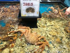 -盒马鲜生(皇庭广场店)