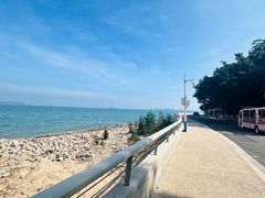 -西涌国际滨海旅游区