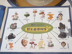 -菌彩云南野生菌火锅(呈贡七彩云南第壹城店)