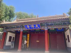 -张掖大佛寺景区