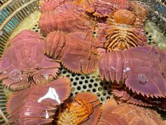 -拉完海鲜大排档(温岭店)