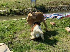 -天王浮山樱花园