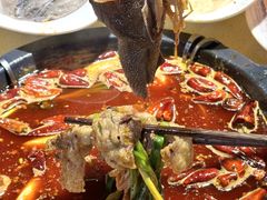 -蜀家渝重庆火锅(南屏街店)