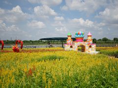 城堡花海-长廊欢乐园
