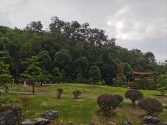 -深圳仙湖植物园