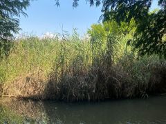 -捞渔河湿地公园