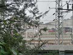 -莲花池公园