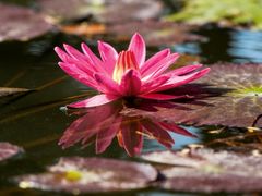 -惠州西湖风景名胜区-丰渚园