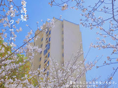 -高东镇樱花园