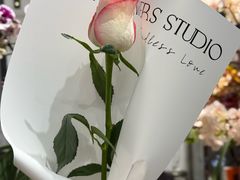 -FEI FEI FLOWER鲜花店·气球派对·宝宝宴布置(虹口德必运动Loft店)