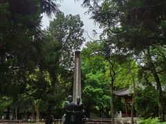 -汇龙潭