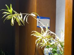 -陈熹公民族美食文化餐厅(中华广场店)