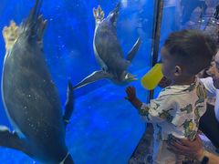 -华夏文旅海洋公园