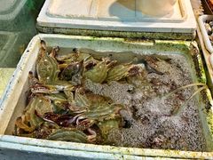 -赵璐海鲜面馆(德行路店)