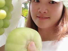 -马陆小张葡萄园农家乐