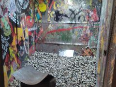 -不可思议减压馆·解压博物馆·摔碗发泄·团建定制