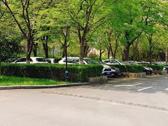 -复旦大学附属华山医院(浦东院区)