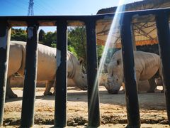 -泉州海丝野生动物世界