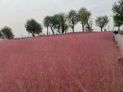 -汉长安城未央宫国家考古遗址公园