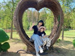 -黄海国家森林公园