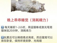 -守诺宠物医院·眼科· 神经外科·爬宠专科(虹口店)