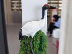 -盐城丹顶鹤湿地生态旅游区