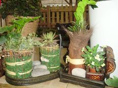 -荷兰布尔玛国际花艺学院