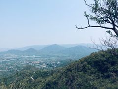 -阳台山自然风景区