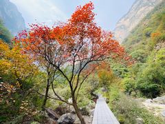 -云台山风景名胜区