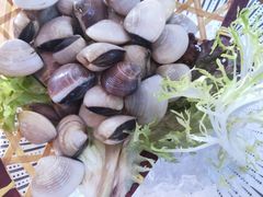 -马家斑.鲜鱼火锅(松湖万科店)