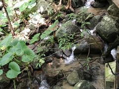 -七仙岭温泉国家森林公园