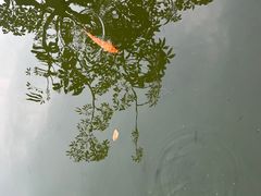 -粤剧艺术博物馆