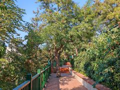 -青岛市江苏路基督教堂