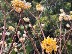 -徐家汇源景区-衡山公园