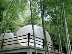 -陶祖圣境风景区