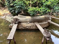 -长鹿旅游休博园