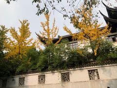 -西园戒幢律寺